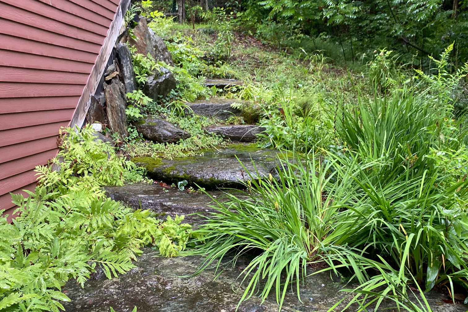 Image of a stone pathway in Vermont in spring